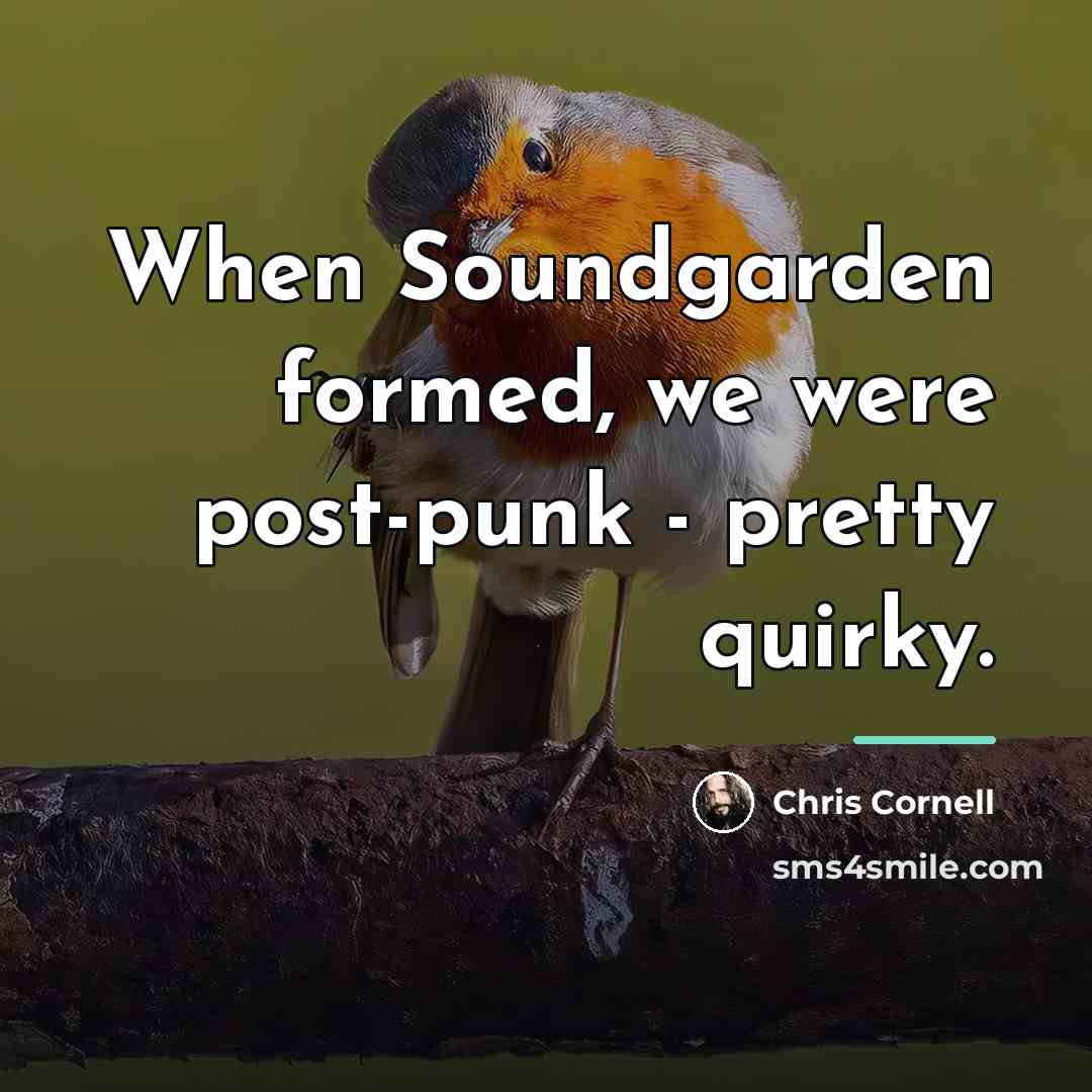 “When Soundgarden formed, we were post-punk - pretty quirky.…” quote by Chris Cornell