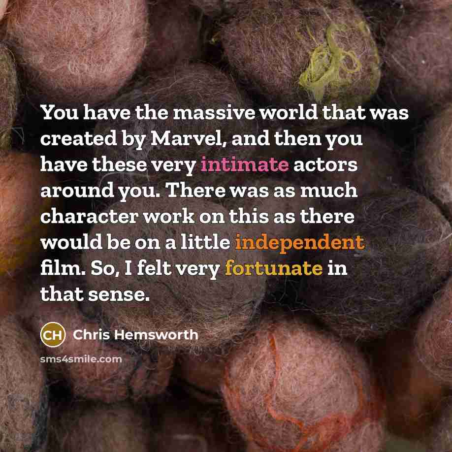 “You have the massive world that was created by Marvel,…” quote by Chris Hemsworth