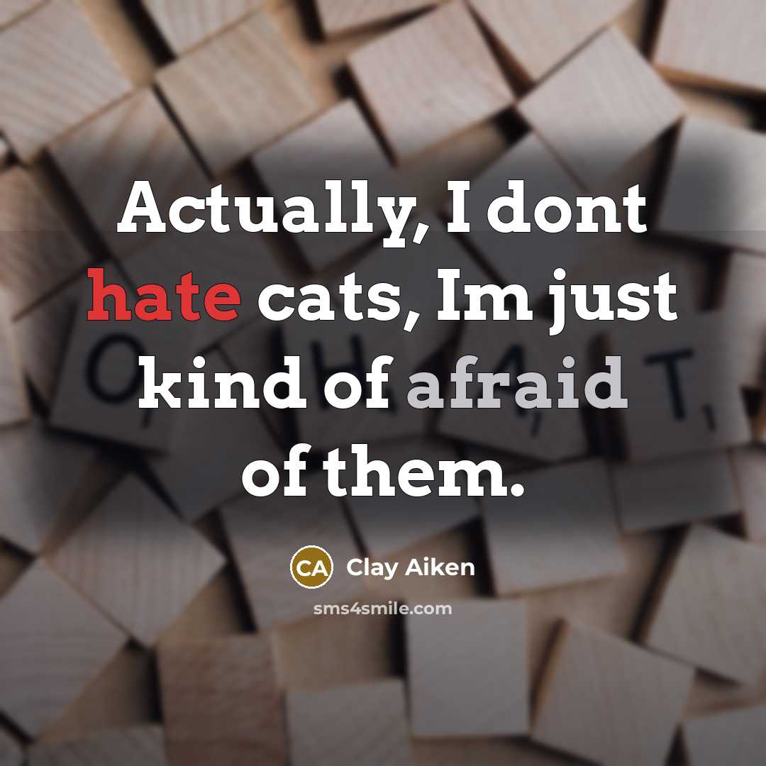 “Actually, I dont hate cats, Im just kind of afraid of them.” quote by Clay Aiken