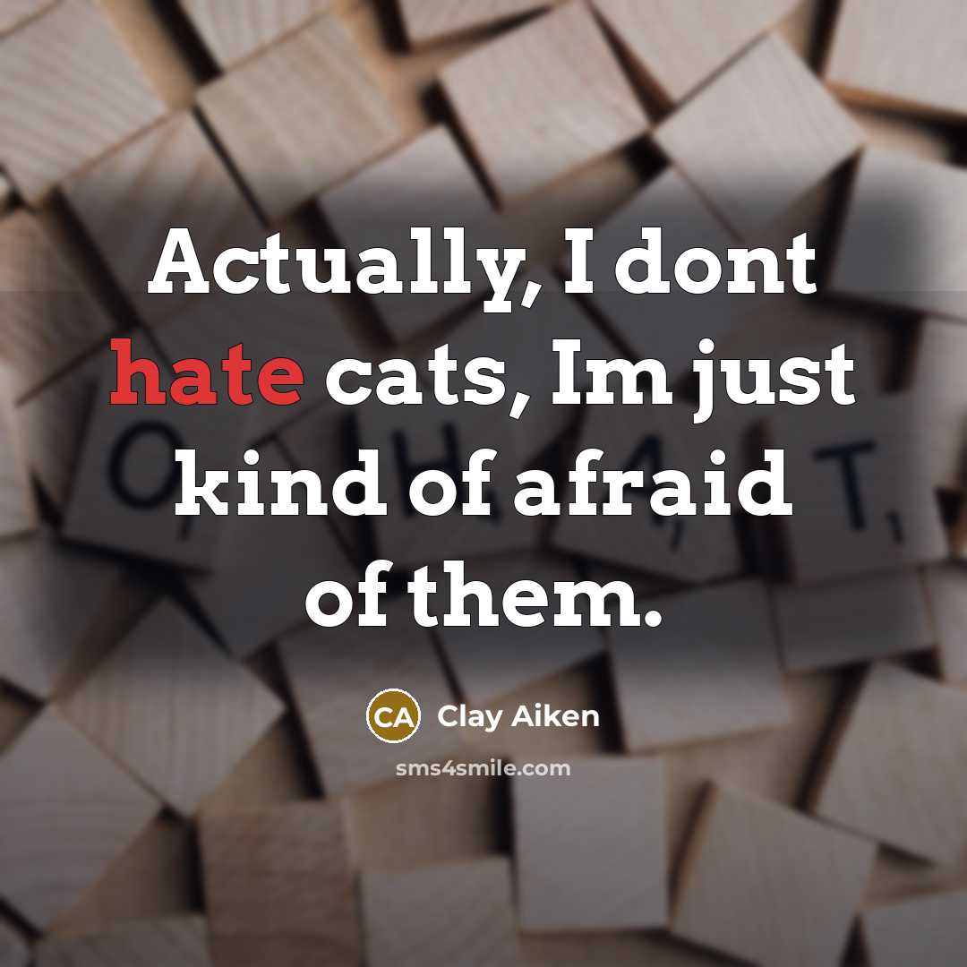 “Actually, I dont hate cats, Im just kind of afraid…” quote by Clay Aiken