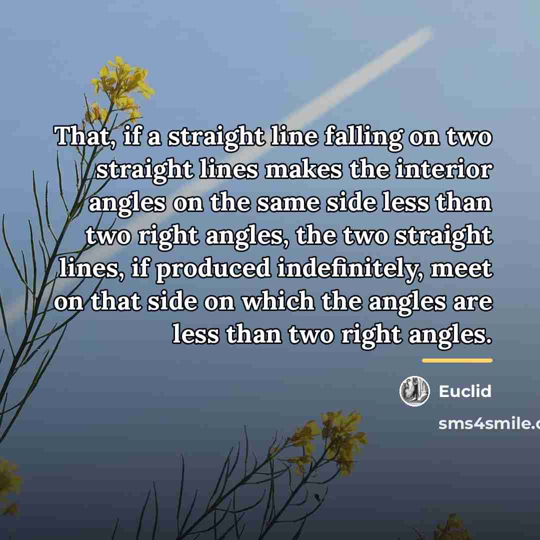 “That, if a straight line falling on two straight lines…” quote by Euclid