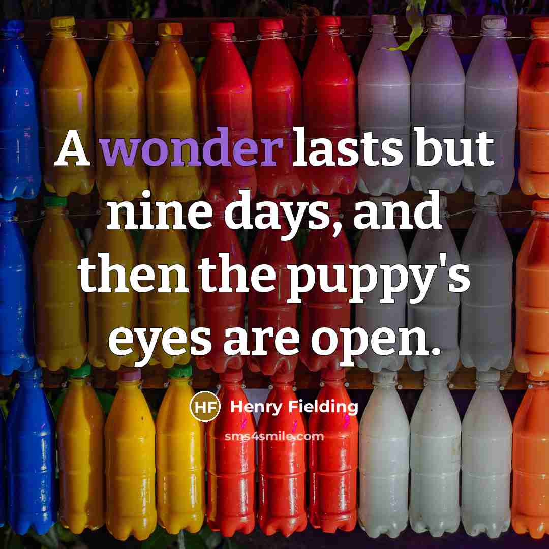 “A wonder lasts but nine days, and then the puppy's…” quote by Henry Fielding