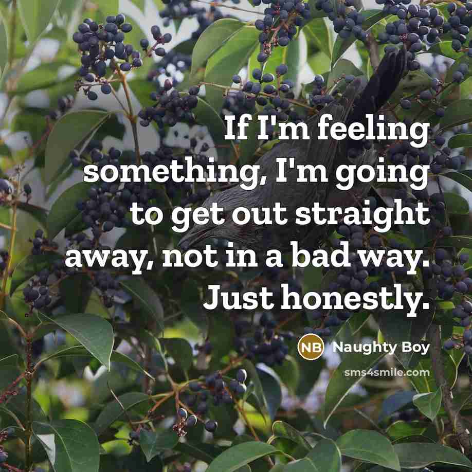 “If I'm feeling something, I'm going to get out straight…” quote by Naughty Boy