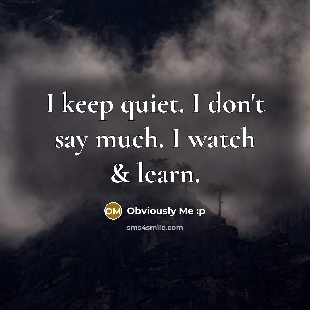 “I keep quiet. I don't say much. I watch & learn.” quote by Obviously Me :p