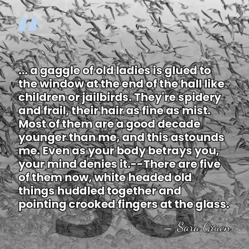 ... a gaggle of old ladies is glued to the window at&hellip; - Sara Gruen