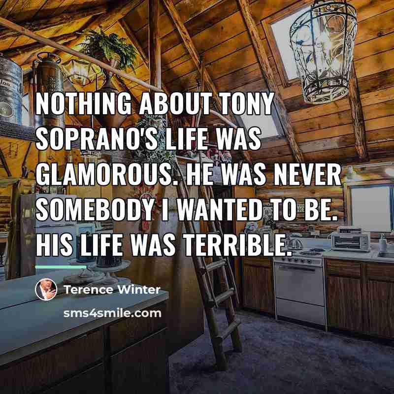“Nothing about Tony Soprano's life was glamorous. He was never…” quote by Terence Winter