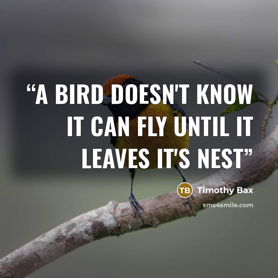 “A bird doesn't know it can fly until it leaves it's nest” quote by Timothy Bax