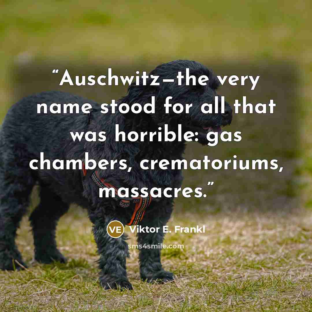 “Auschwitz—the very name stood for all that was horrible: gas chambers, crematoriums, massacres.” quote by Viktor E. Frankl