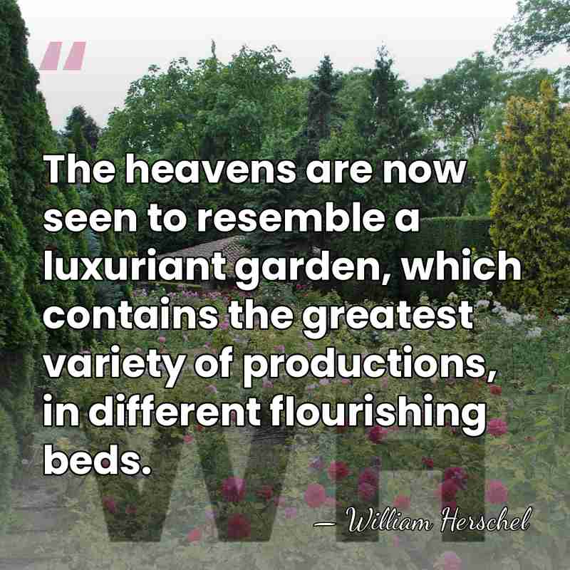 The heavens are now seen to resemble a luxuriant garden, which contains&hellip; - William Herschel