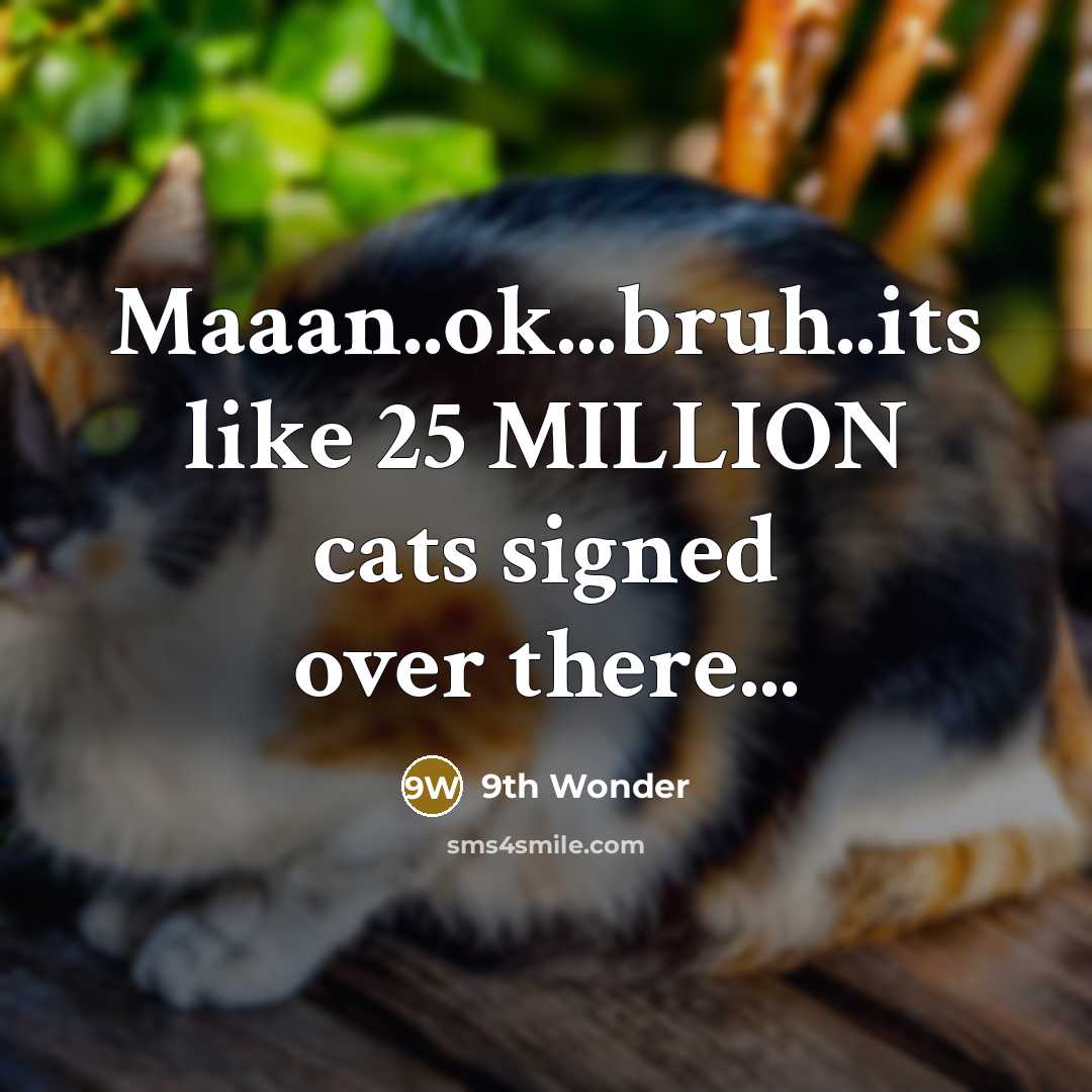 “Maaan..ok...bruh..its like 25 MILLION cats signed over there...…” quote by 9th Wonder