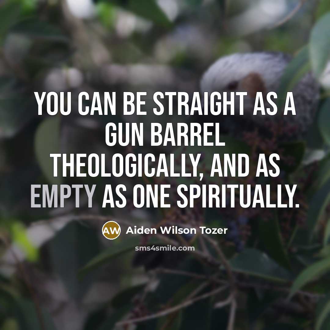 “You can be straight as a gun barrel theologically, and…” quote by Aiden Wilson Tozer