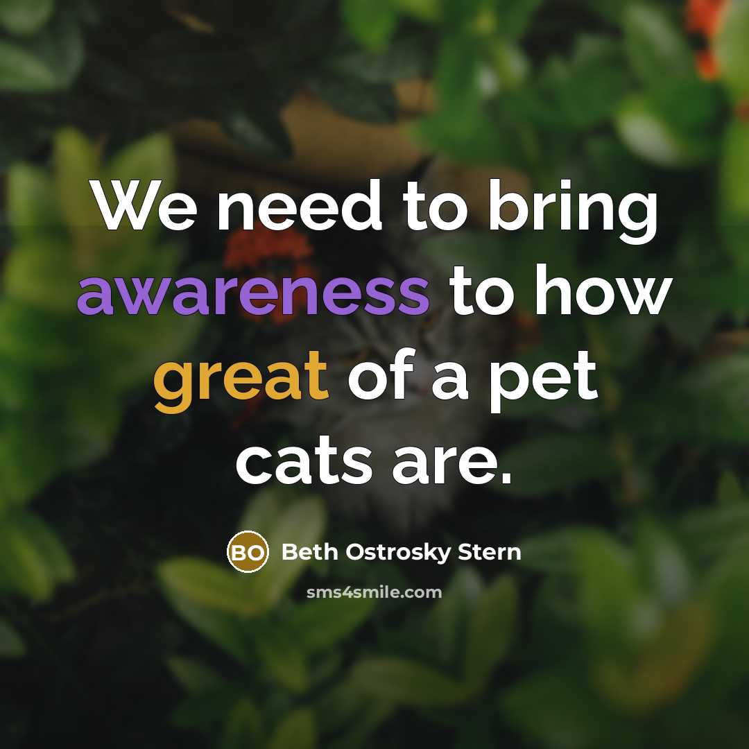 “We need to bring awareness to how great of a…” quote by Beth Ostrosky Stern
