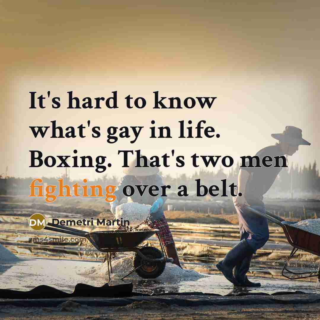 “It's hard to know what's gay in life. Boxing. That's…” quote by Demetri Martin