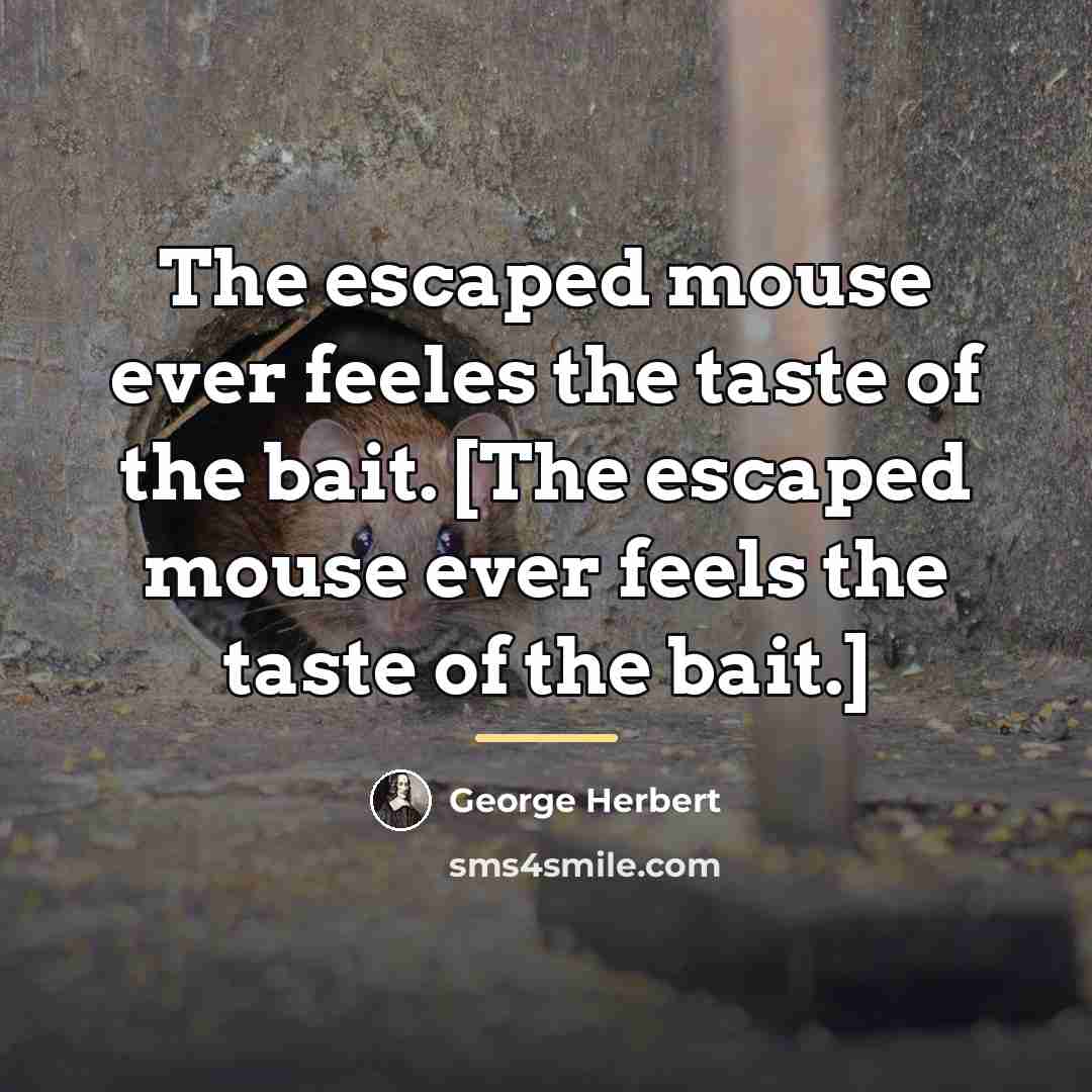 “The escaped mouse ever feeles the taste of the bait.…” quote by George Herbert