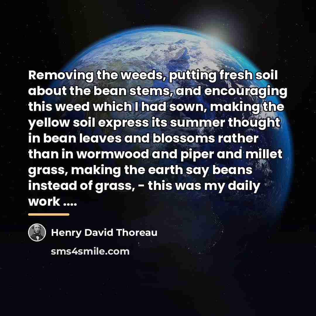 “Removing the weeds, putting fresh soil about the bean stems,…” quote by Henry David Thoreau