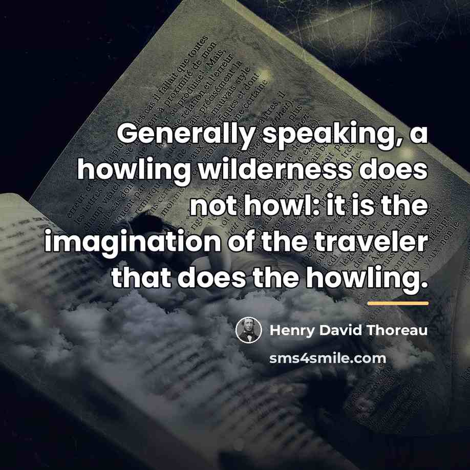 “Generally speaking, a howling wilderness does not howl: it is…” quote by Henry David Thoreau