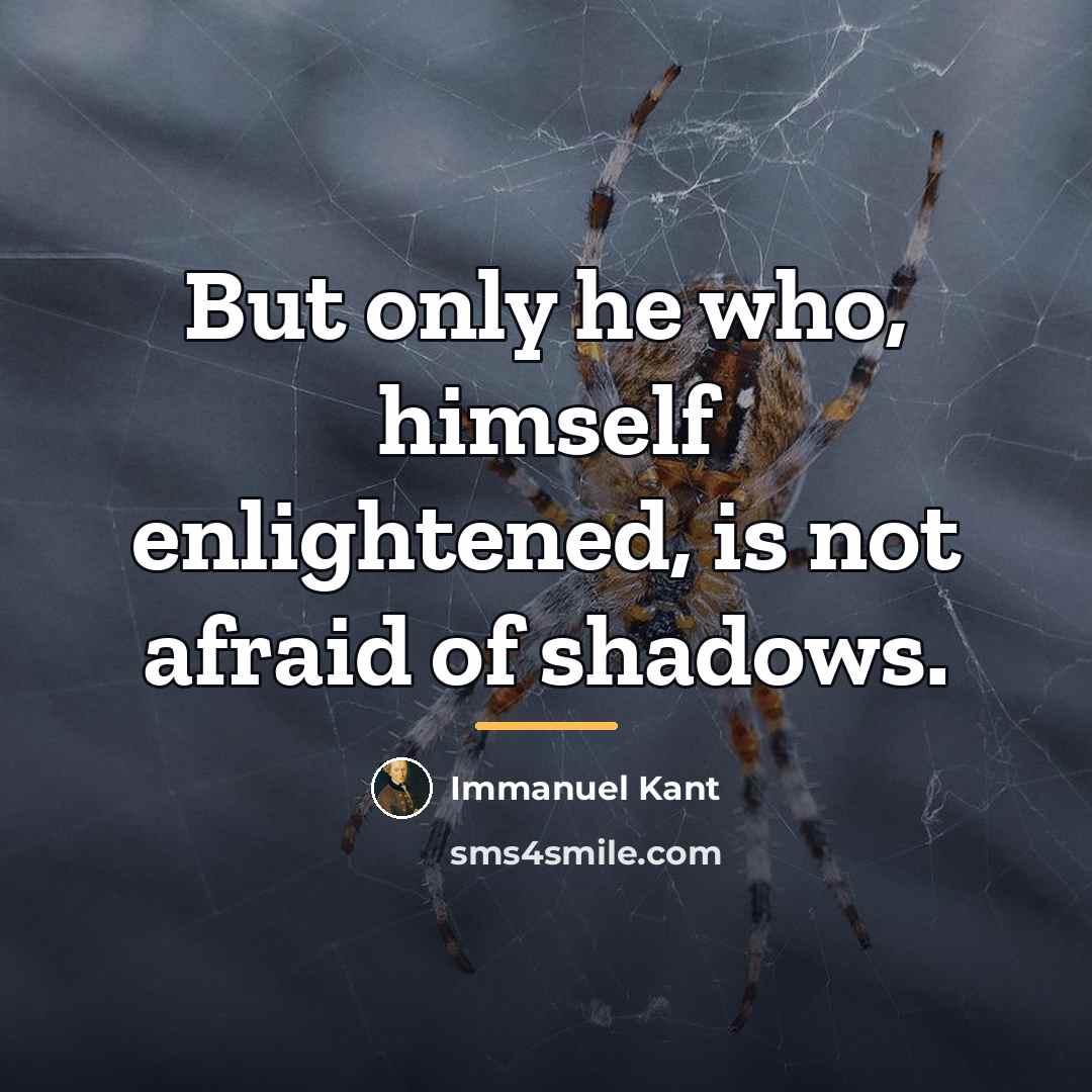 “But only he who, himself enlightened, is not afraid of…” quote by Immanuel Kant