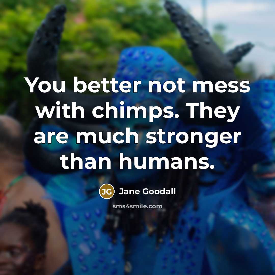 “You better not mess with chimps. They are much stronger…” quote by Jane Goodall