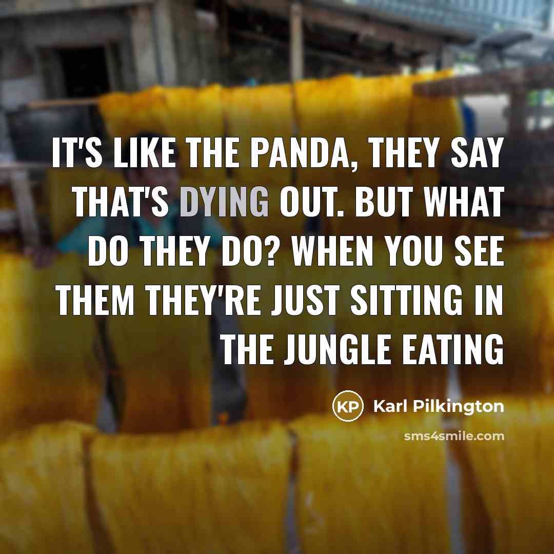 “It's like the panda, they say that's dying out. But…” quote by Karl Pilkington