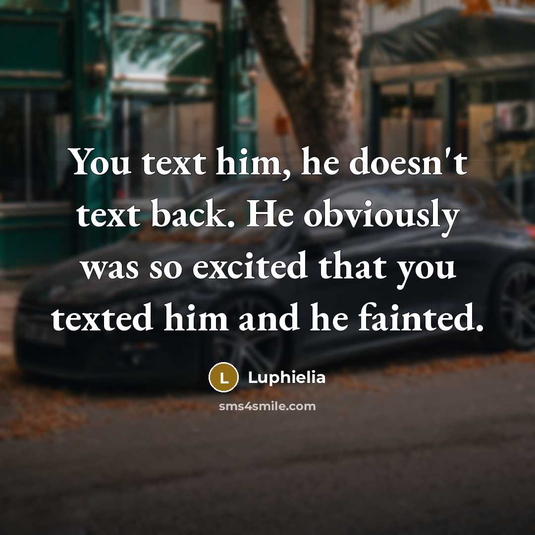 “You text him, he doesn't text back. He obviously was so excited that you texted him and he fainted.” quote by Luphielia