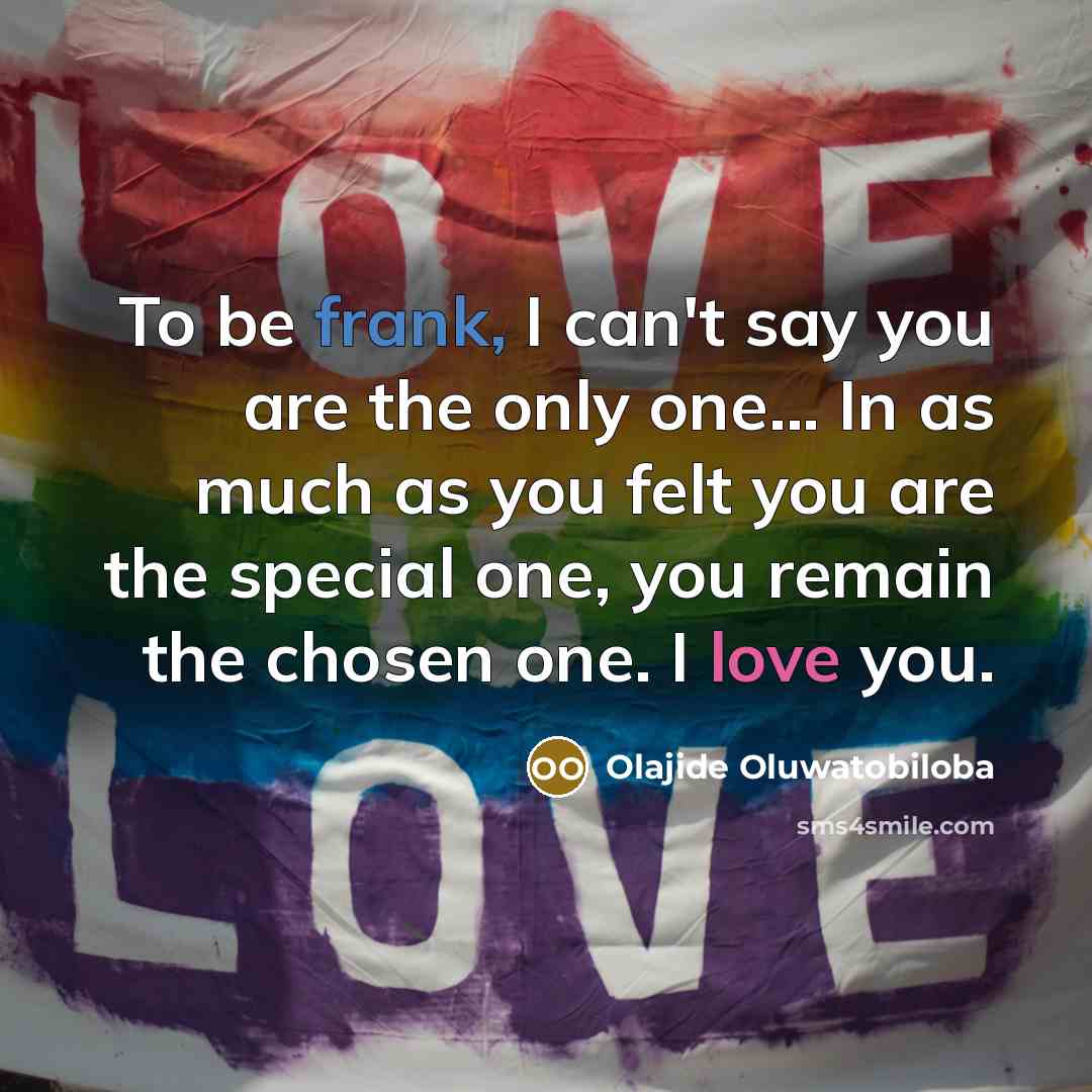 “To be frank, I can't say you are the only one... In as much as you felt you are the special one, you remain the chosen one. I love you.” quote by Olajide Oluwatobiloba