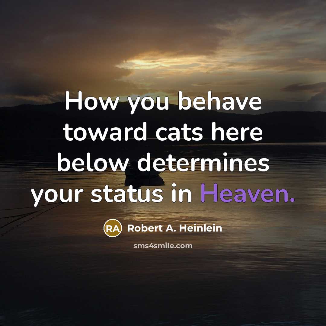 “How you behave toward cats here below determines your status…” quote by Robert A. Heinlein