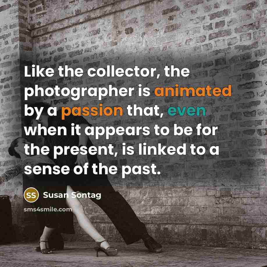“Like the collector, the photographer is animated by a passion…” quote by Susan Sontag