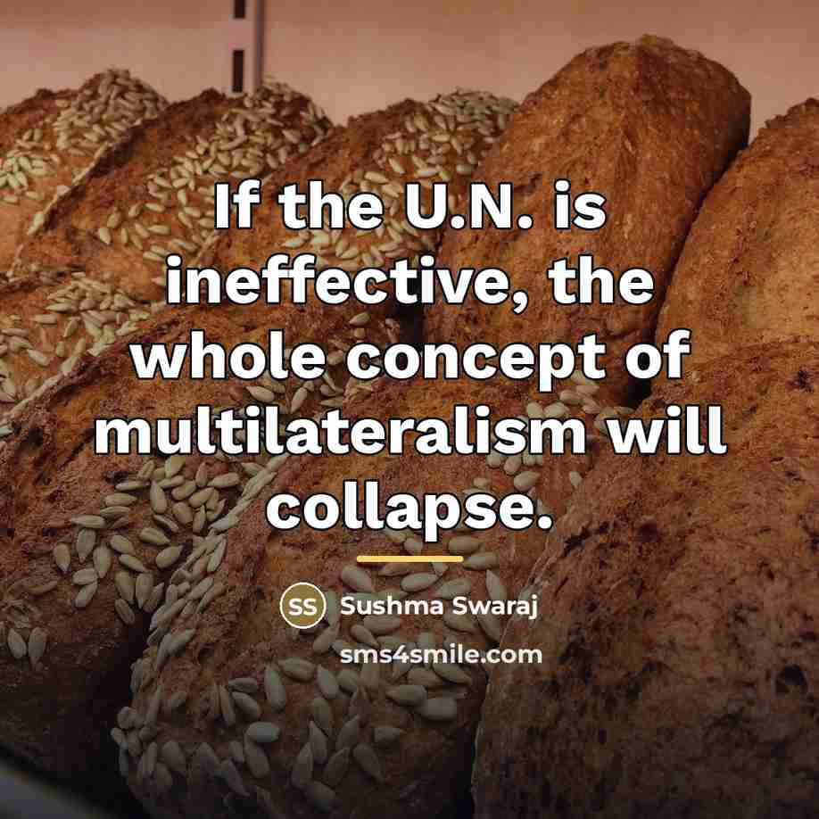 “If the U.N. is ineffective, the whole concept of multilateralism…” quote by Sushma Swaraj