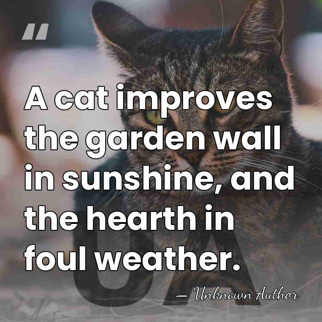 A cat improves the garden wall in sunshine, and the hearth in&hellip; - Judith Merkle Riley