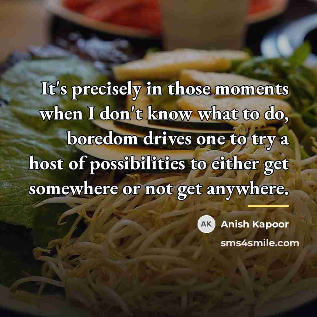 “It's precisely in those moments when I don't know what…” quote by Anish Kapoor