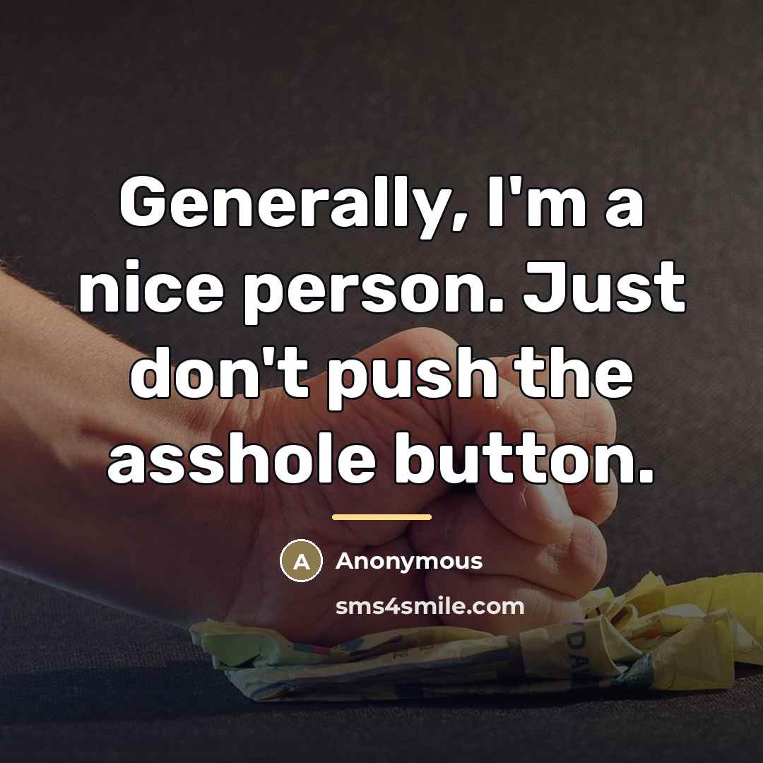 “Generally, I'm a nice person. Just don't push the asshole…” quote by Anonymous