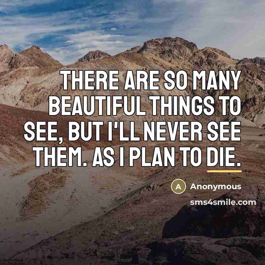 “There are so many beautiful things to see, but I'll…” quote by Anonymous