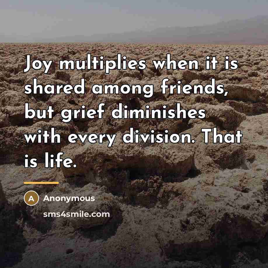 “Joy multiplies when it is shared among friends, but grief…” quote by Anonymous