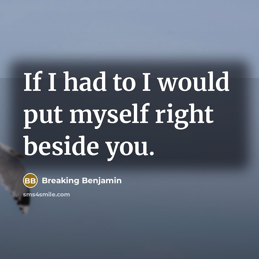 “If I had to I would put myself right beside you.” quote by Breaking Benjamin