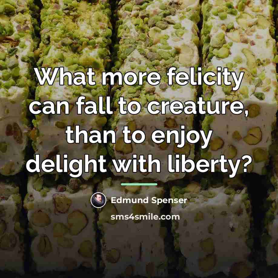 “What more felicity can fall to creature, than to enjoy…” quote by Edmund Spenser