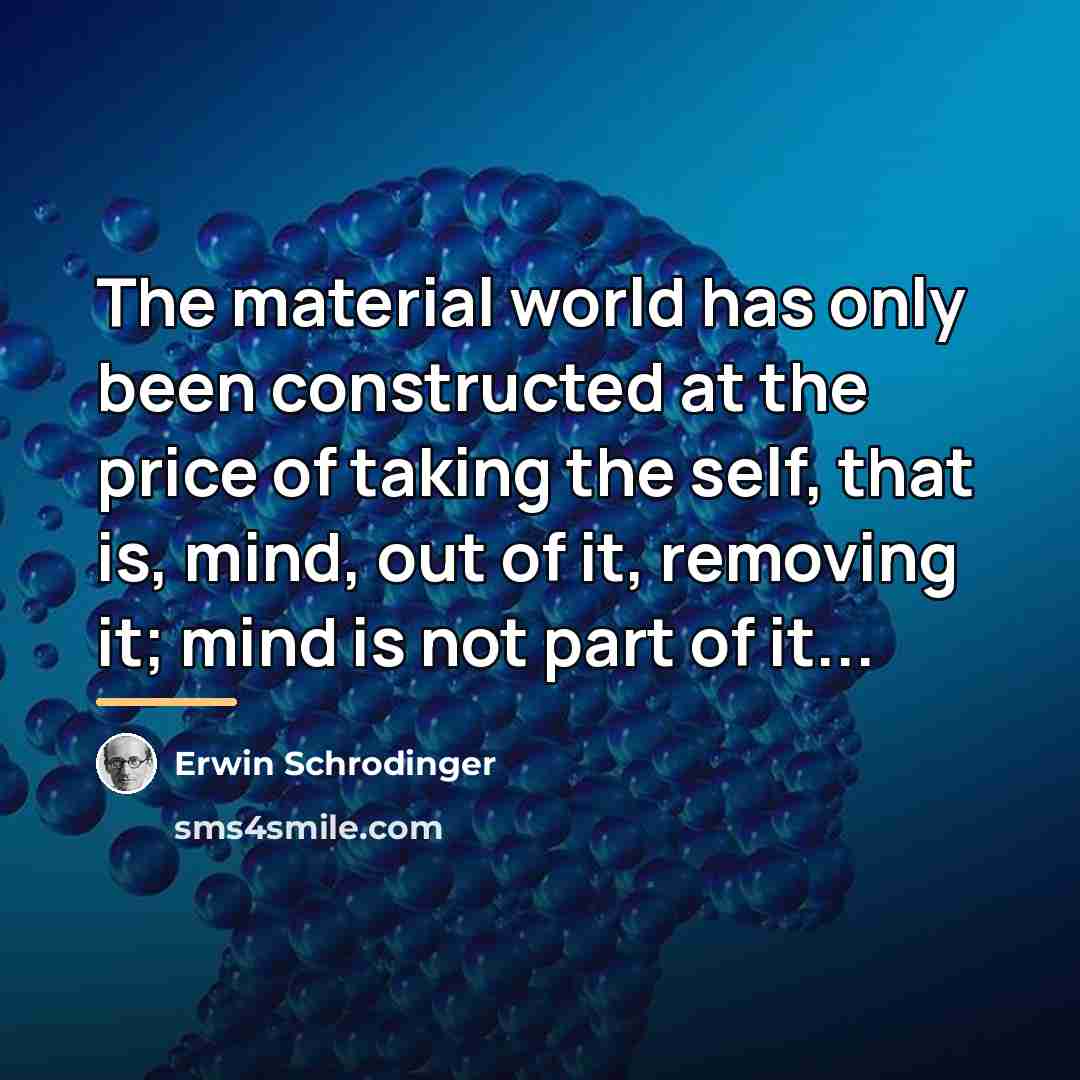 “The material world has only been constructed at the price…” quote by Erwin Schrodinger