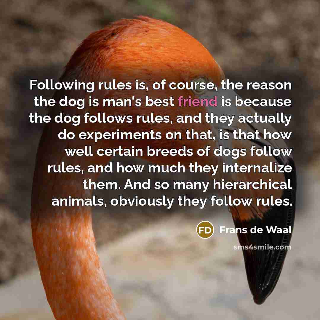 “Following rules is, of course, the reason the dog is…” quote by Frans de Waal