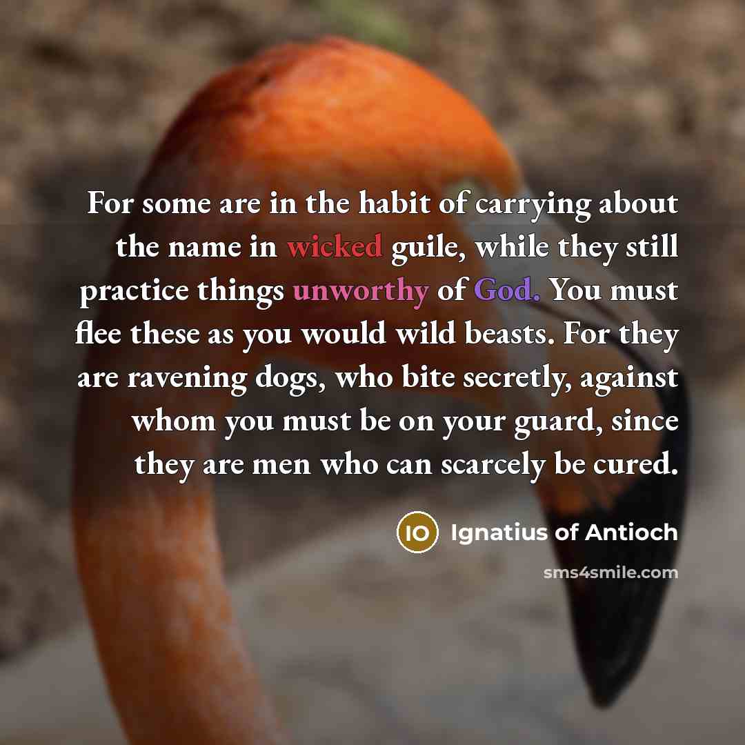 “For some are in the habit of carrying about the…” quote by Ignatius of Antioch