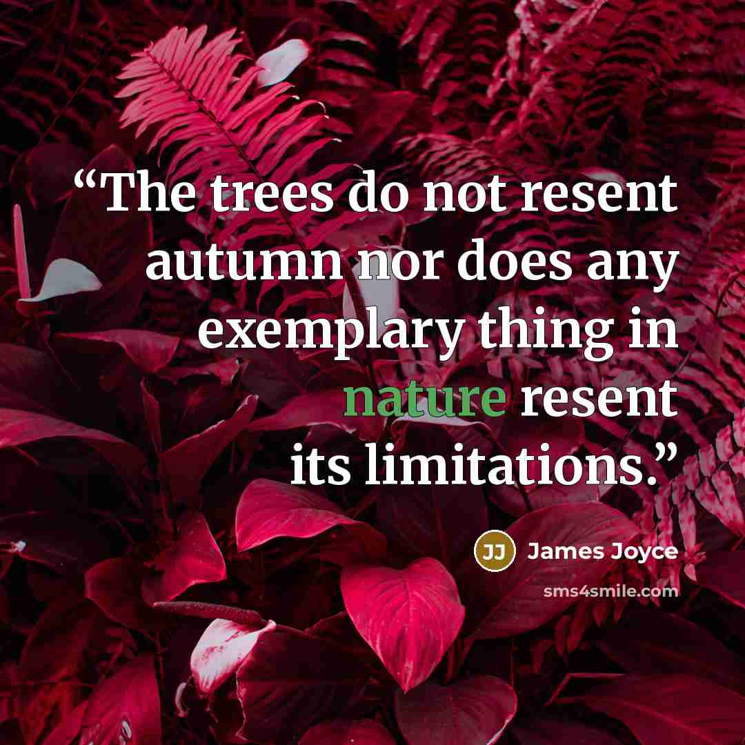 “The trees do not resent autumn nor does any exemplary thing in nature resent its limitations.” quote by James Joyce