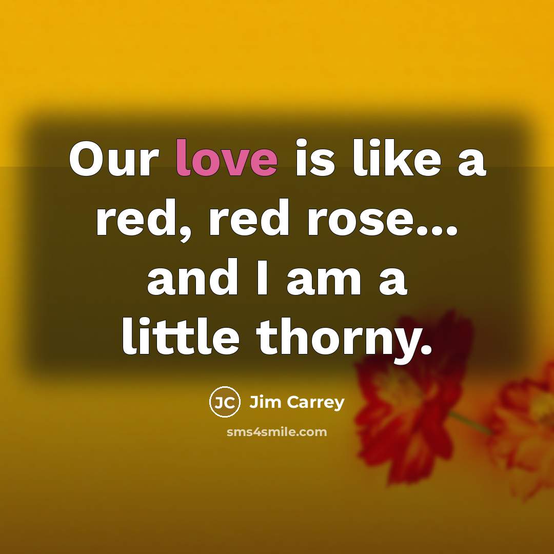 “Our love is like a red, red rose... and I am a little thorny.” quote by Jim Carrey