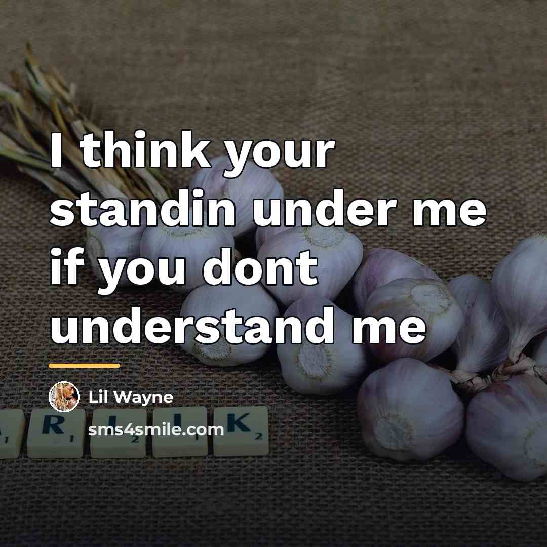 “I think your standin under me if you dont understand…” quote by Lil Wayne