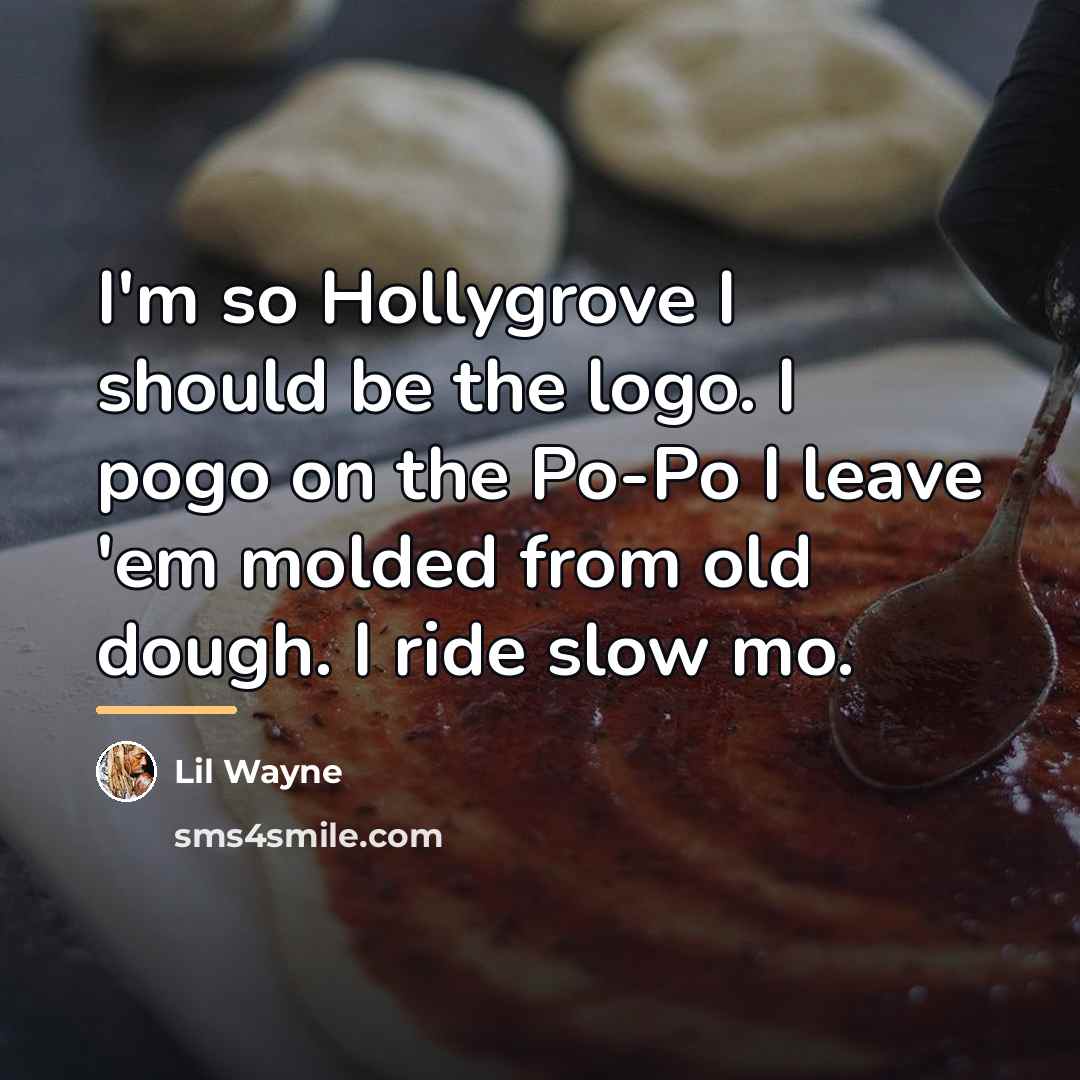 “I'm so Hollygrove I should be the logo. I pogo…” quote by Lil Wayne