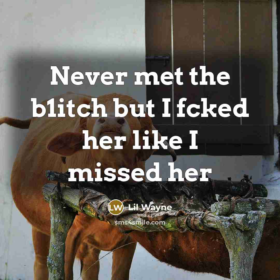 “Never met the b1itch but I fcked her like I…” quote by Lil Wayne
