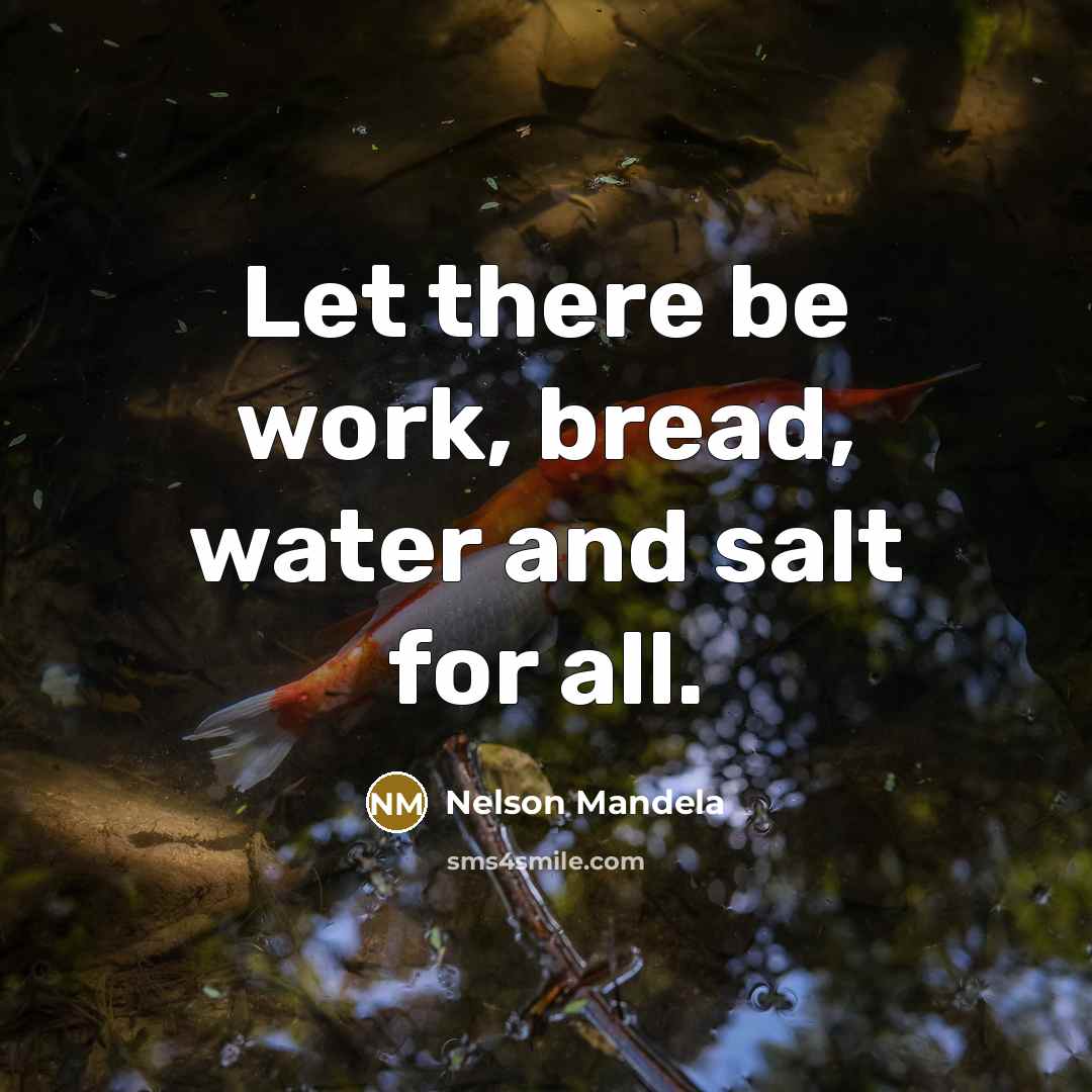 “Let there be work, bread, water and salt for all.…” quote by Nelson Mandela