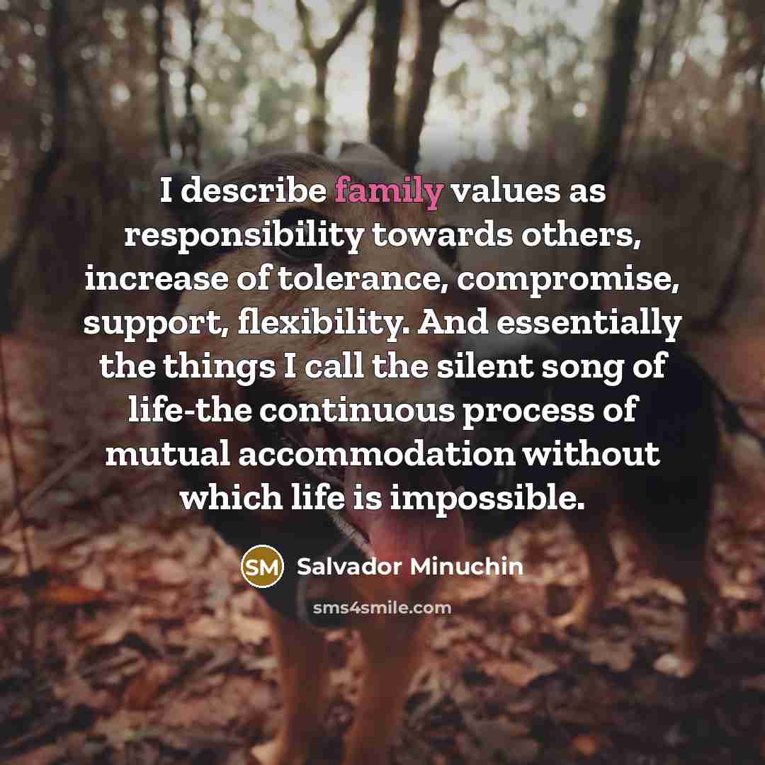 “I describe family values as responsibility towards others, increase of…” quote by Salvador Minuchin
