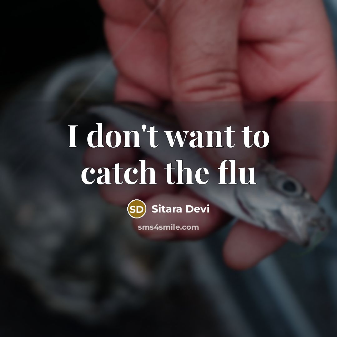 “I don't want to catch the flu…” quote by Sitara Devi