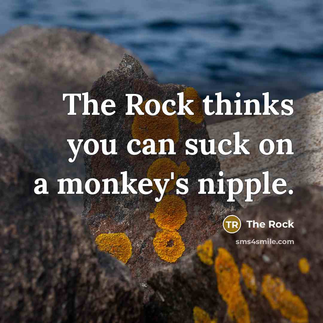 “The Rock thinks you can suck on a monkey's nipple.” quote by The Rock