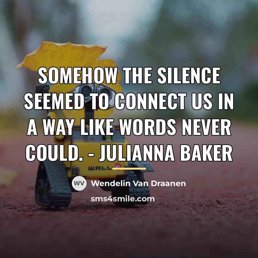 “Somehow the silence seemed to connect us in a way…” quote by Wendelin Van Draanen
