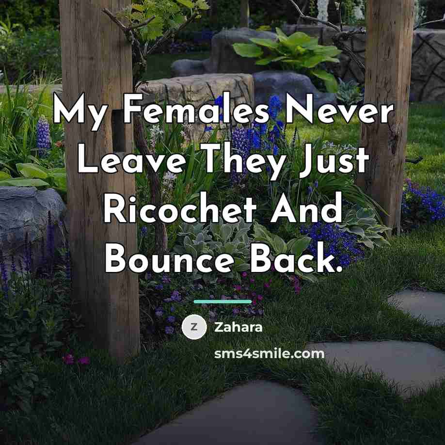 “My Females Never Leave They Just Ricochet And Bounce Back.…” quote by Zahara