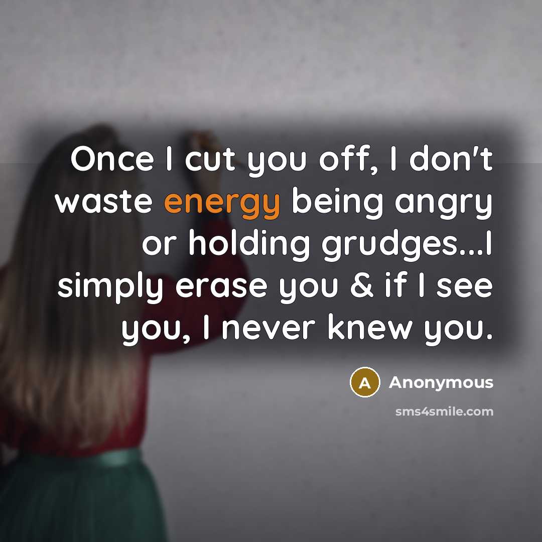 “Once I cut you off, I don't waste energy being angry or holding grudges...I simply erase you & if I see you, I never knew you.” quote by Anonymous